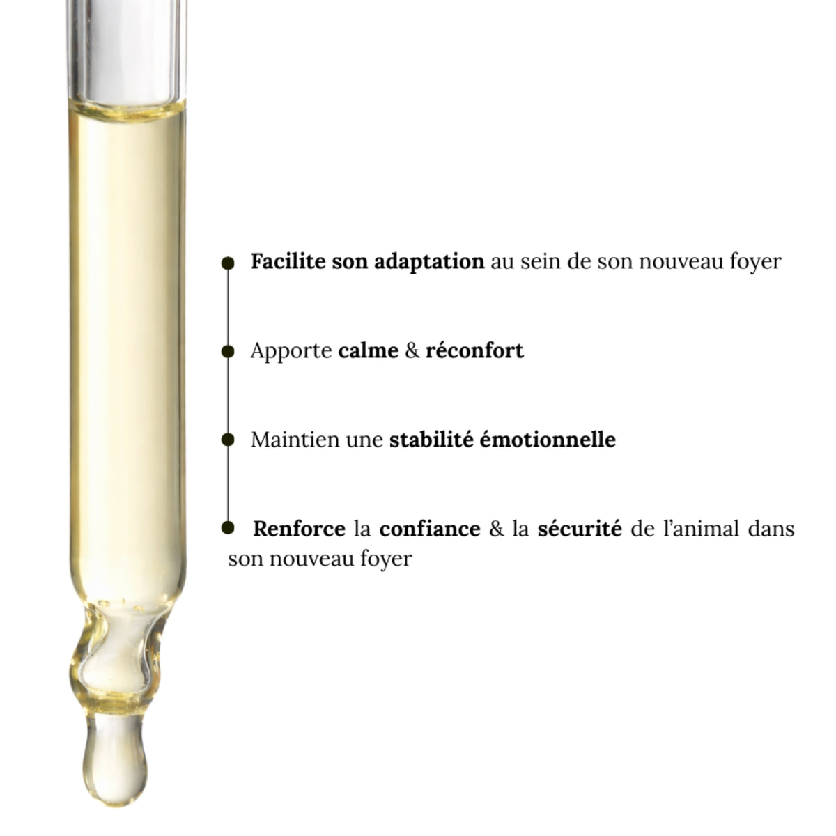 Remedios florales de Bach para animales y adopción
