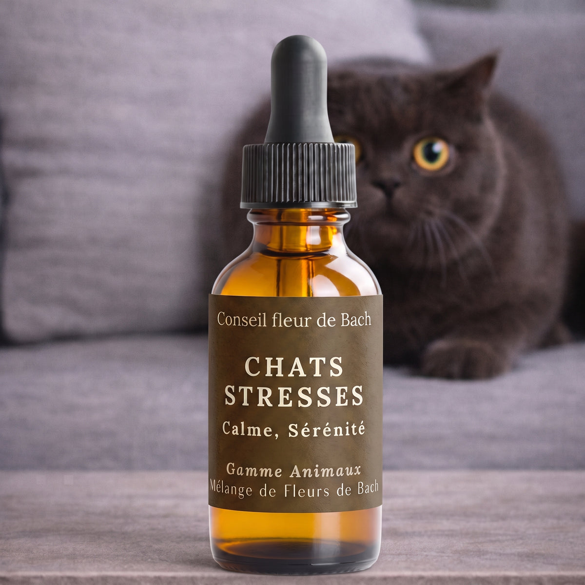 Fleurs de Bach Chat Stressé