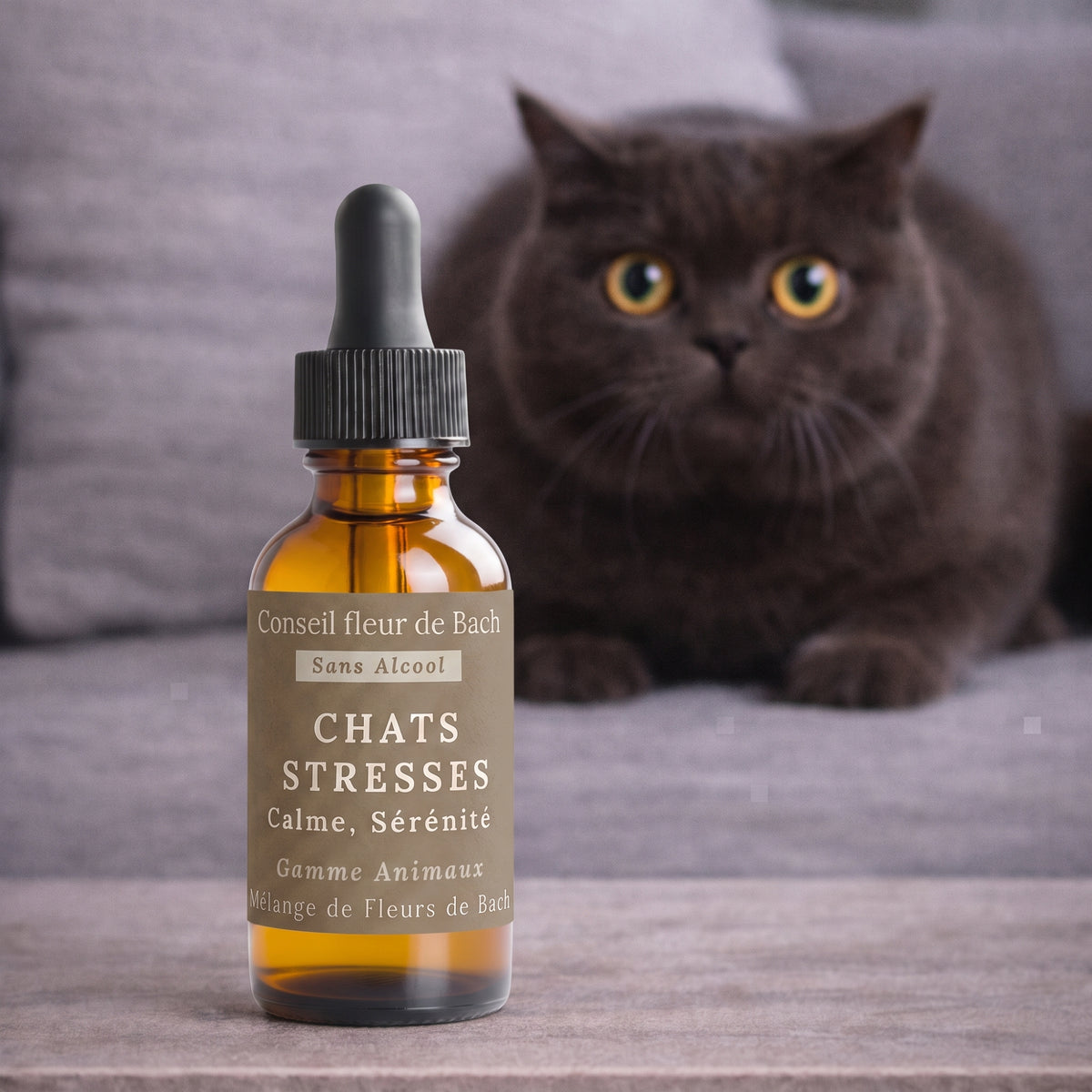 Fleurs de Bach Chat Stressé Sans Alcool