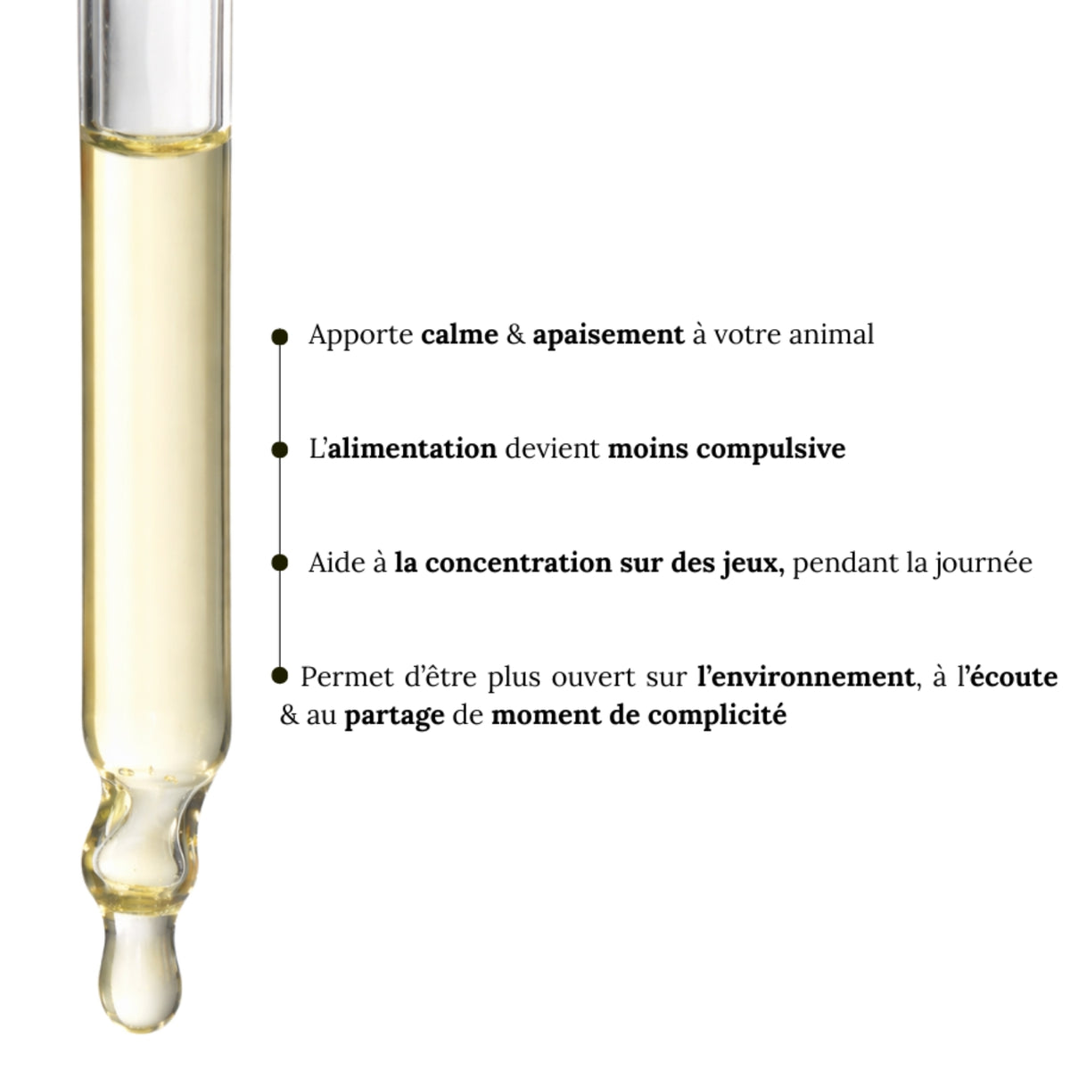 Fleurs de Bach Animaux Hyperactifs Sans Alcool - Pour nos amis pleins d’énergie
