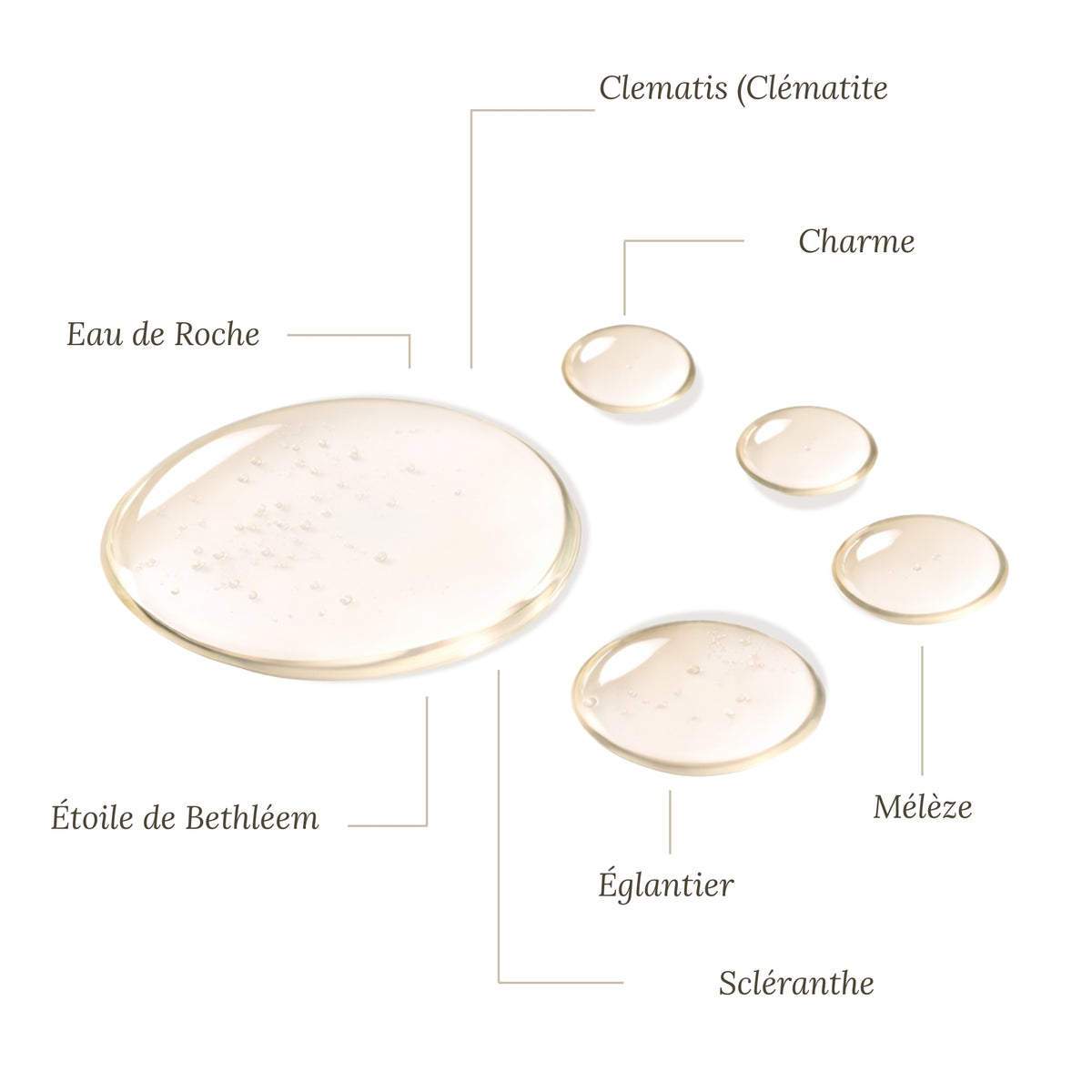Fleurs de Bach Libido Homme – Désir, confiance et vitalité intime