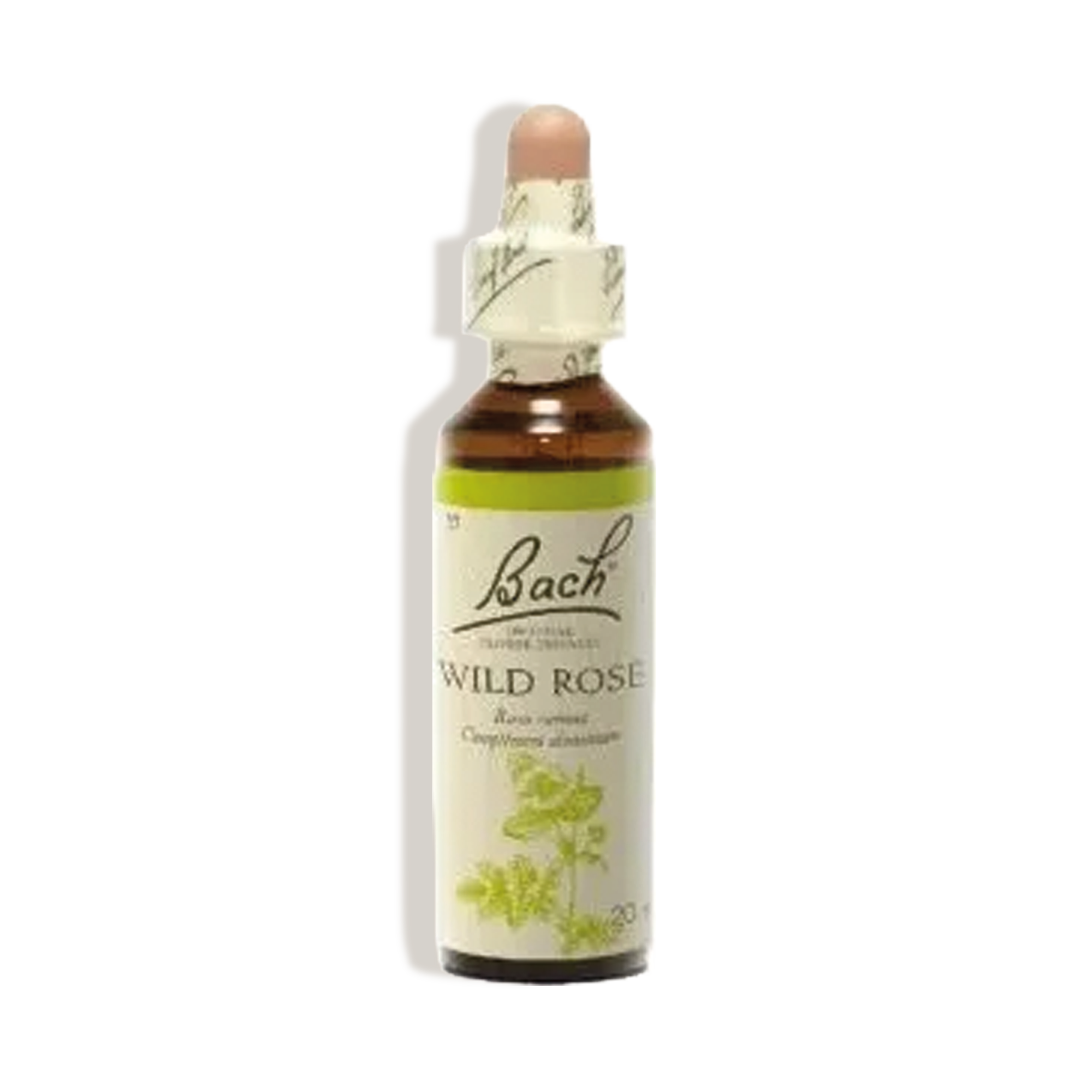 Remedio floral de Bach Avena silvestre - 36