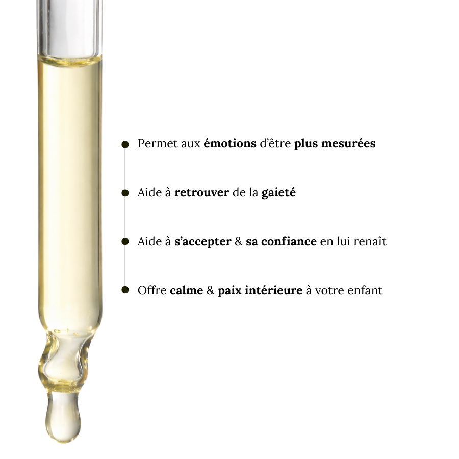 Fleurs de Bach Adolescent Prêt à l'emploi Avec Alcool