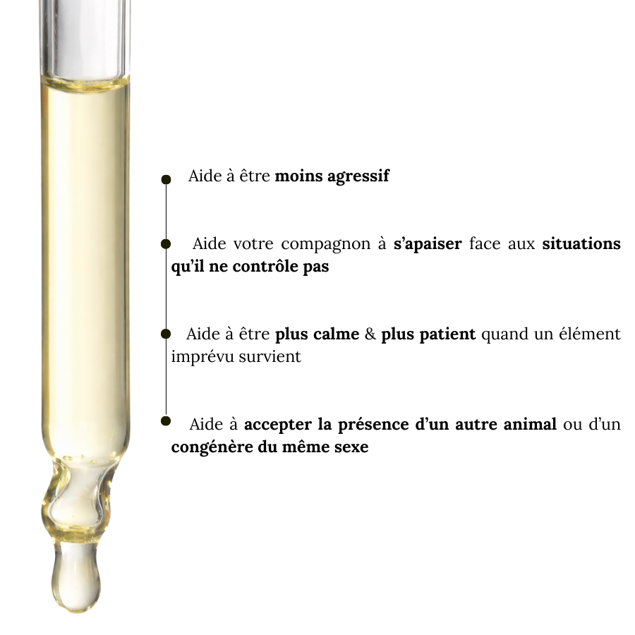 Fleurs de Bach Animaux Agressifs Sans Alcool