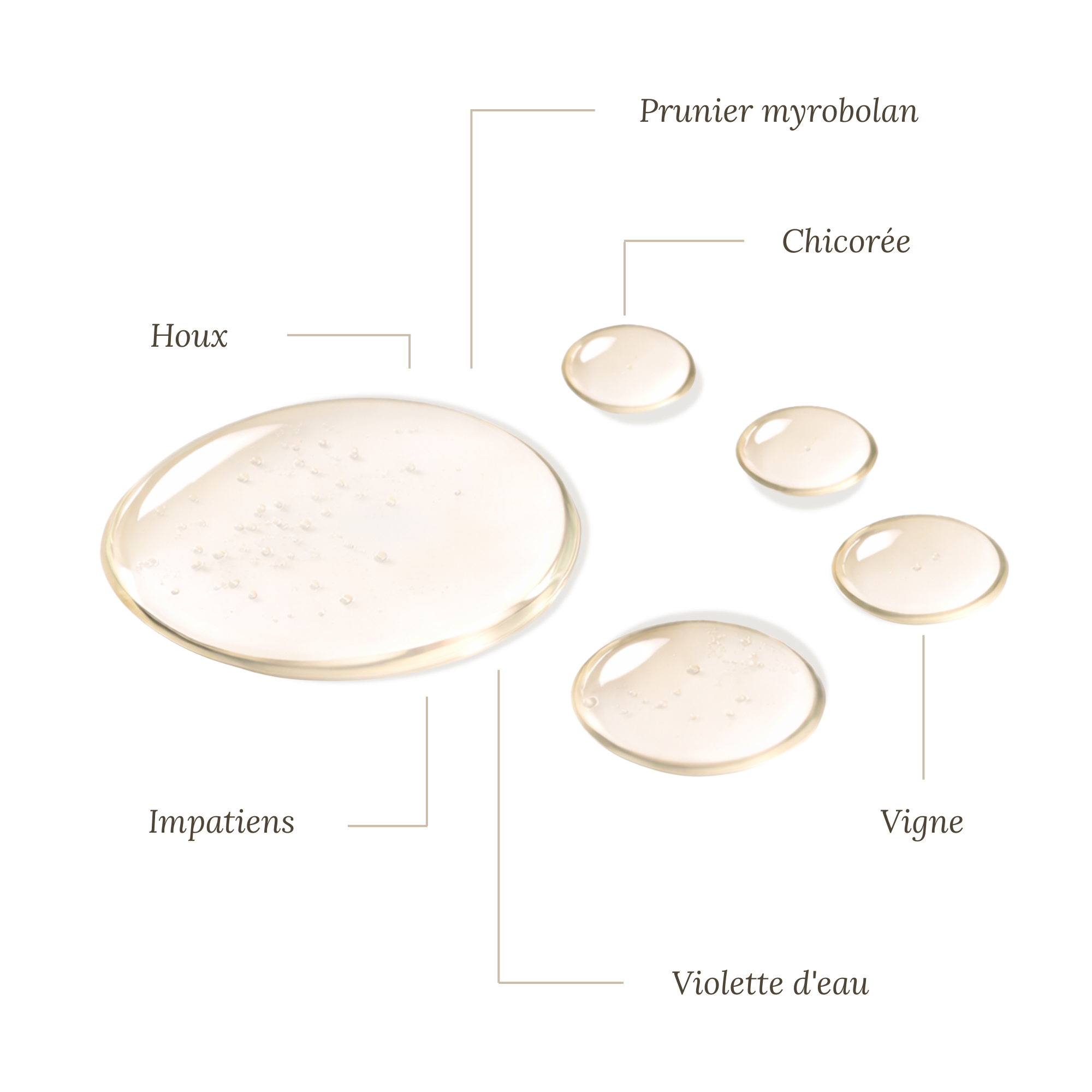 Fleurs de Bach Animaux Agressifs