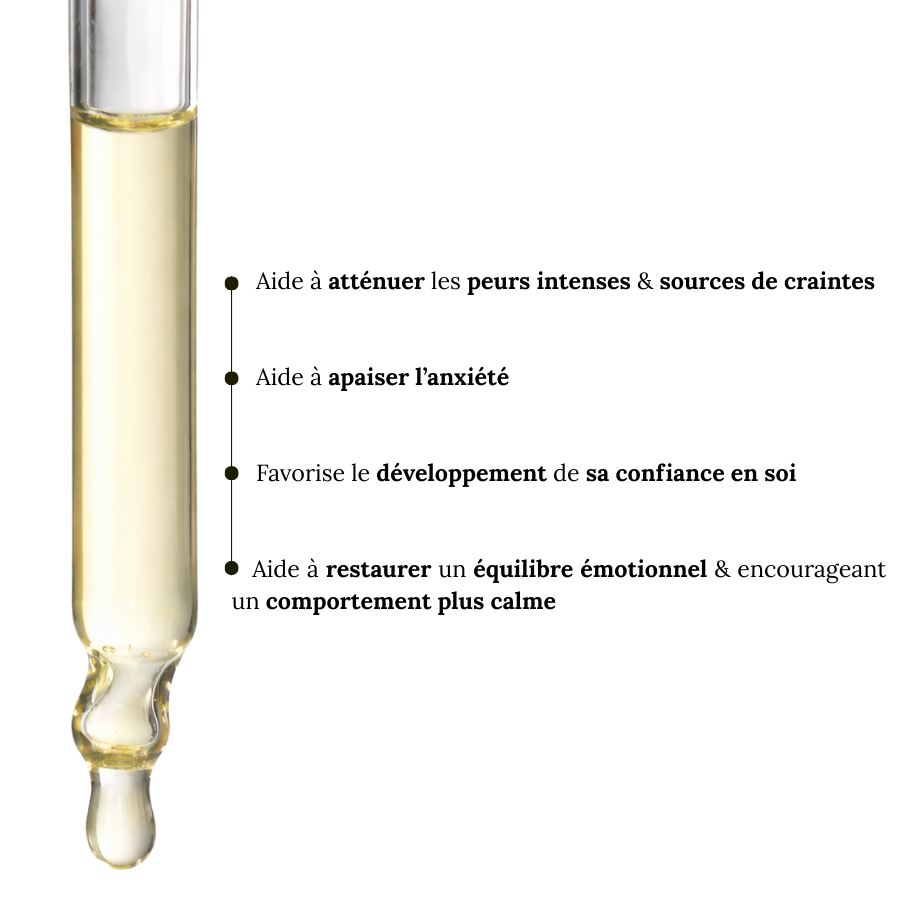 Remedios florales de Bach para animales tímidos