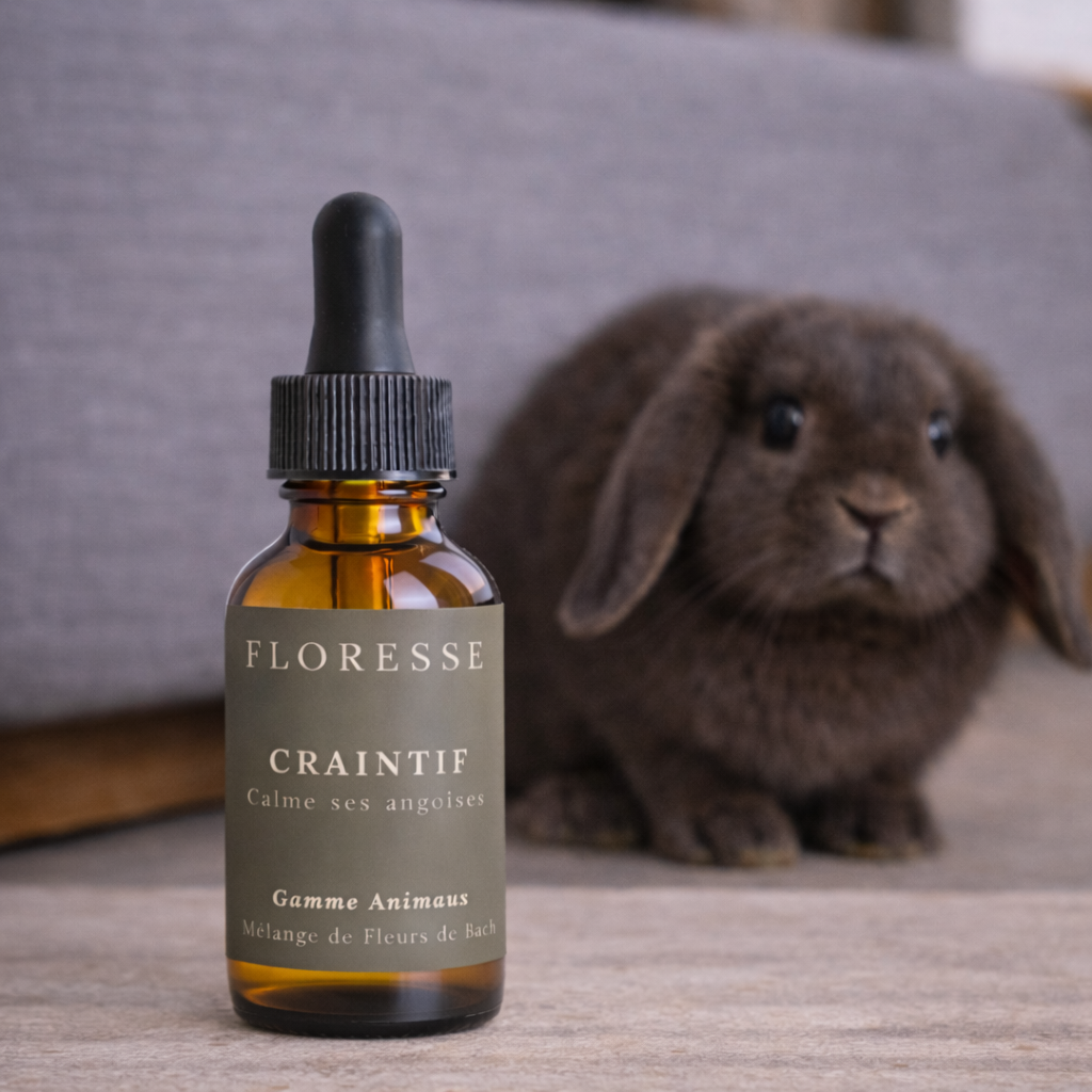 Remedios florales de Bach para animales tímidos