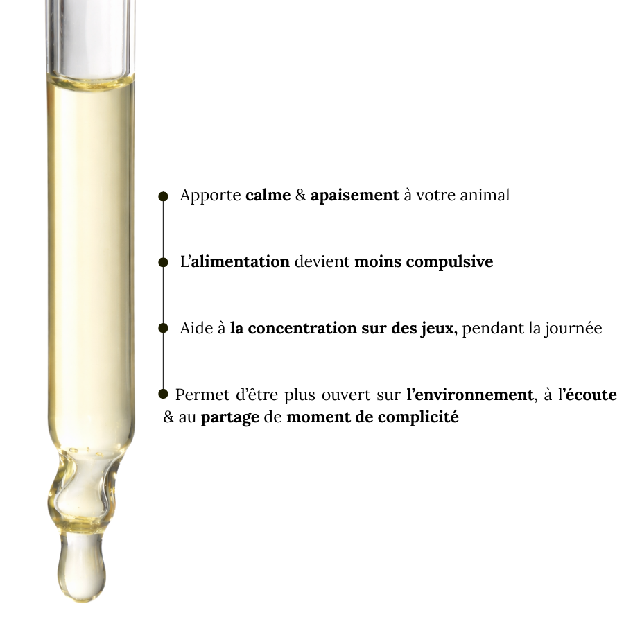 Fleurs de Bach Animaux Hyperactifs Sans Alcool