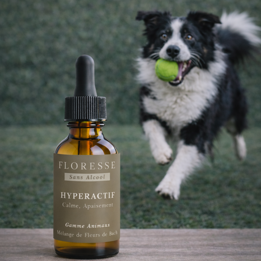 Fleurs de Bach Animaux Hyperactifs Sans Alcool