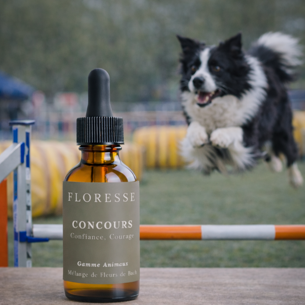 Fleurs de Bach Animaux et Concours