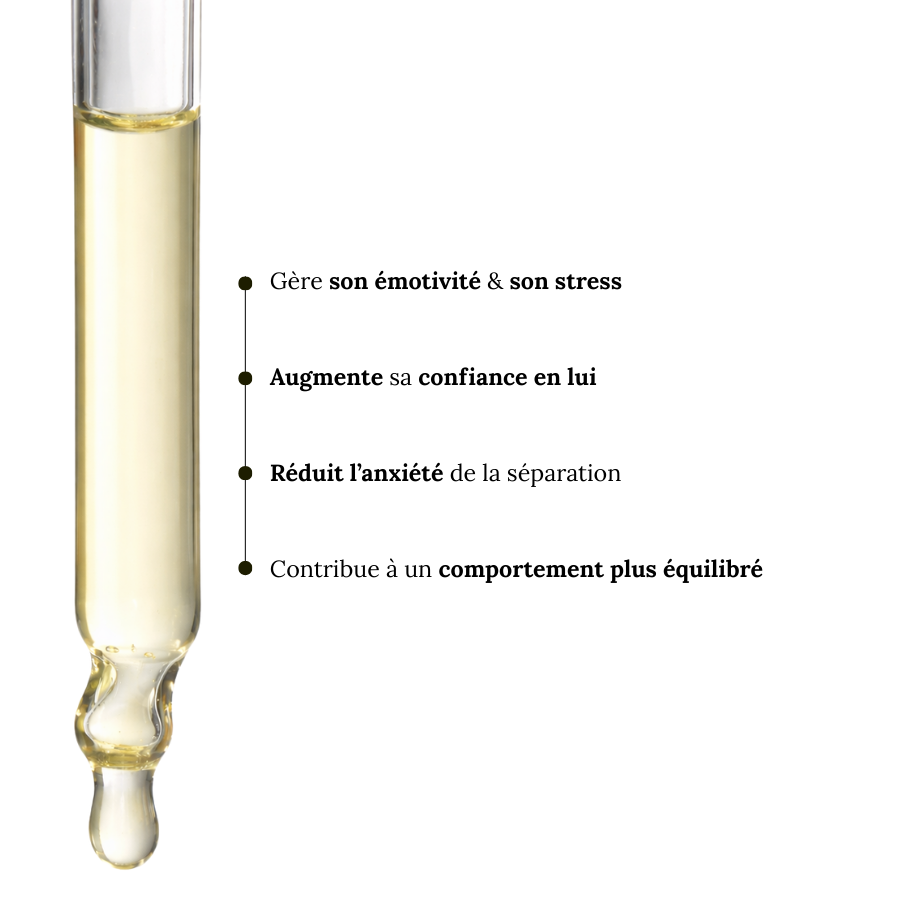 Fleurs de Bach Animaux et Propreté