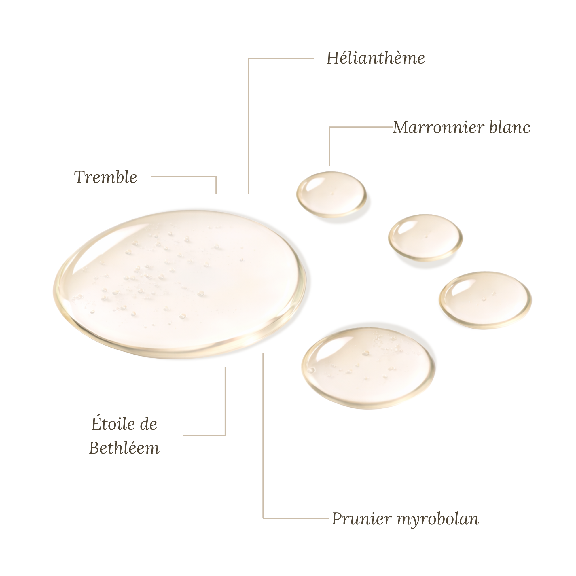 Fleurs de Bach Cauchemars - 30ml