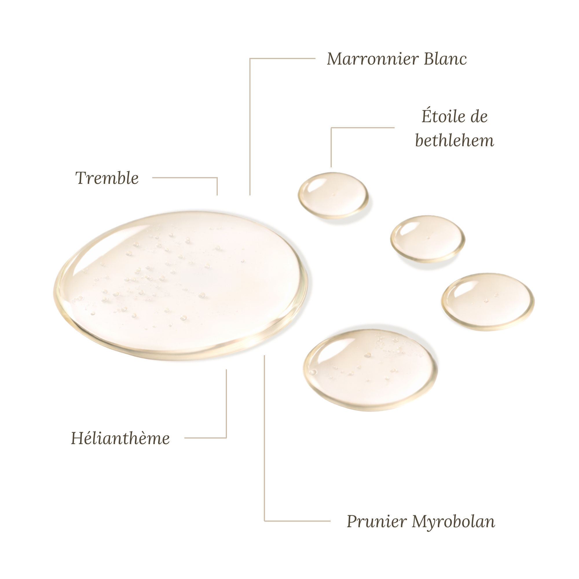 Fleurs de Bach Cauchemars - 30ml