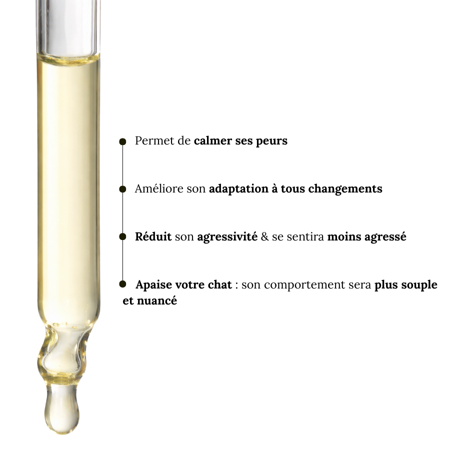 Fleurs de Bach Chat Stressé Sans Alcool