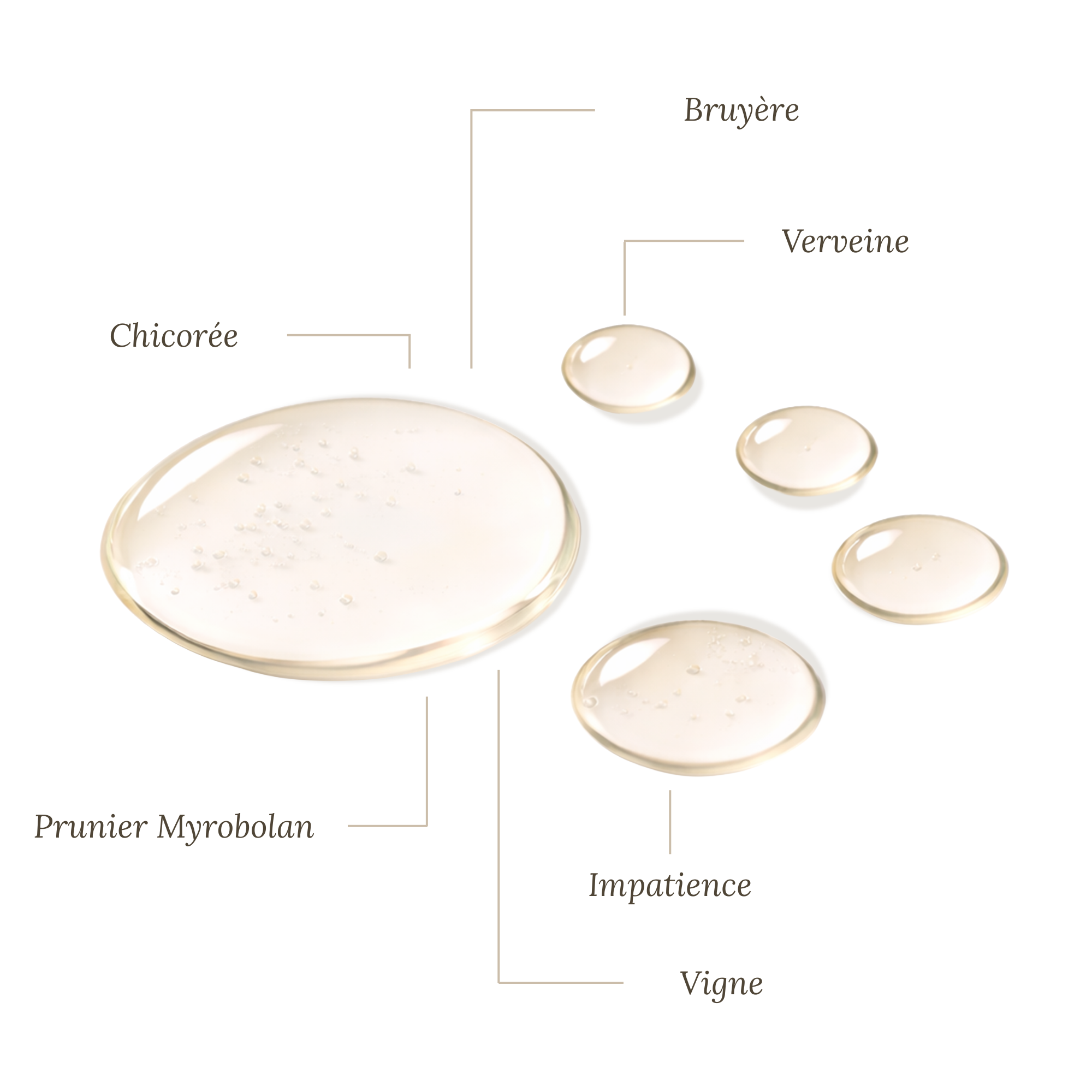 Fleurs de Bach Enfants Agités