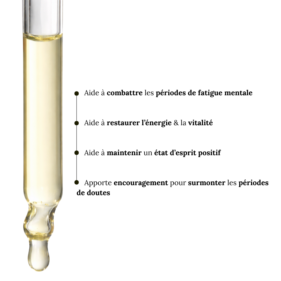 Fleurs de Bach Grossesse épanouie Sans Alcool