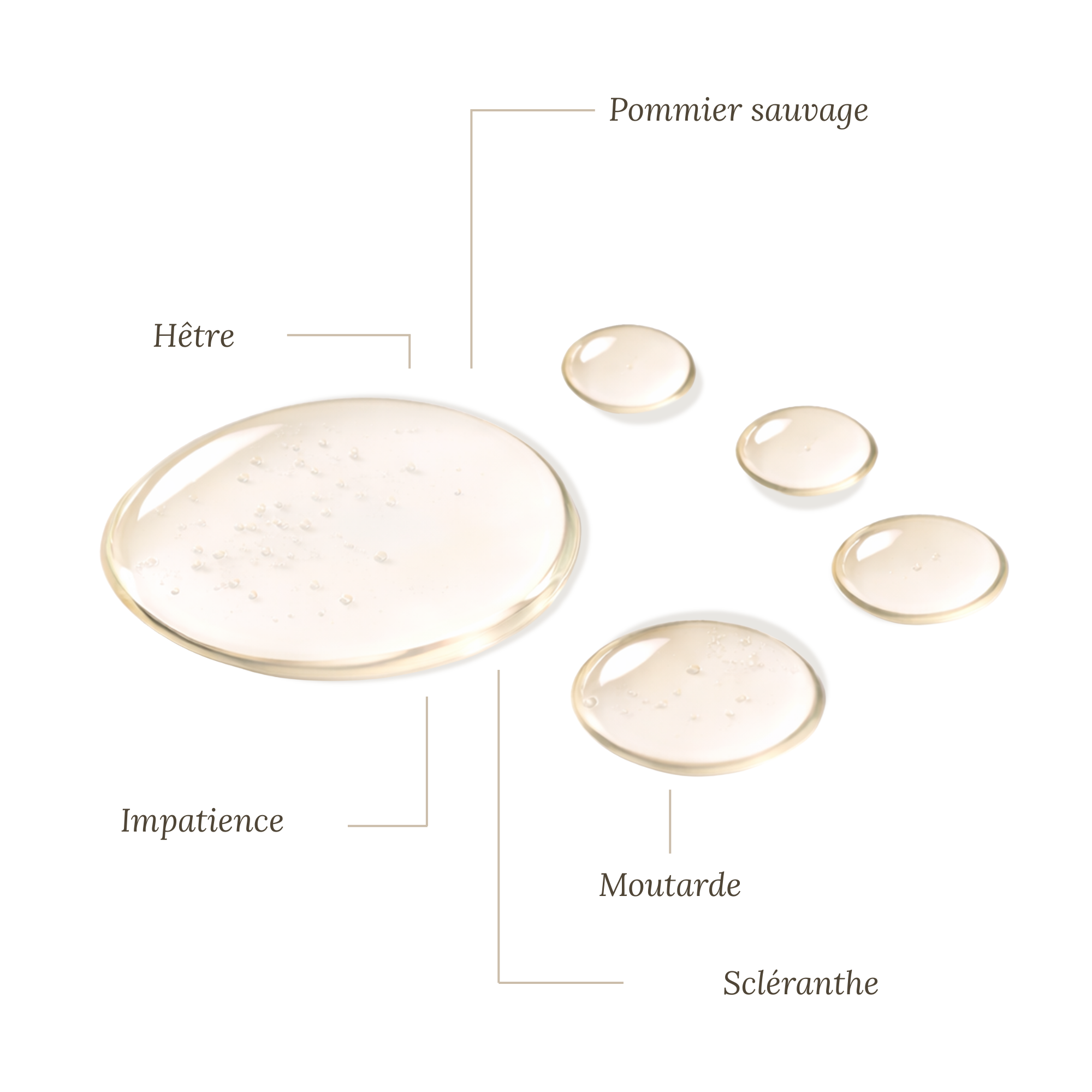 Fleurs de Bach Sérénité prémenstruelle