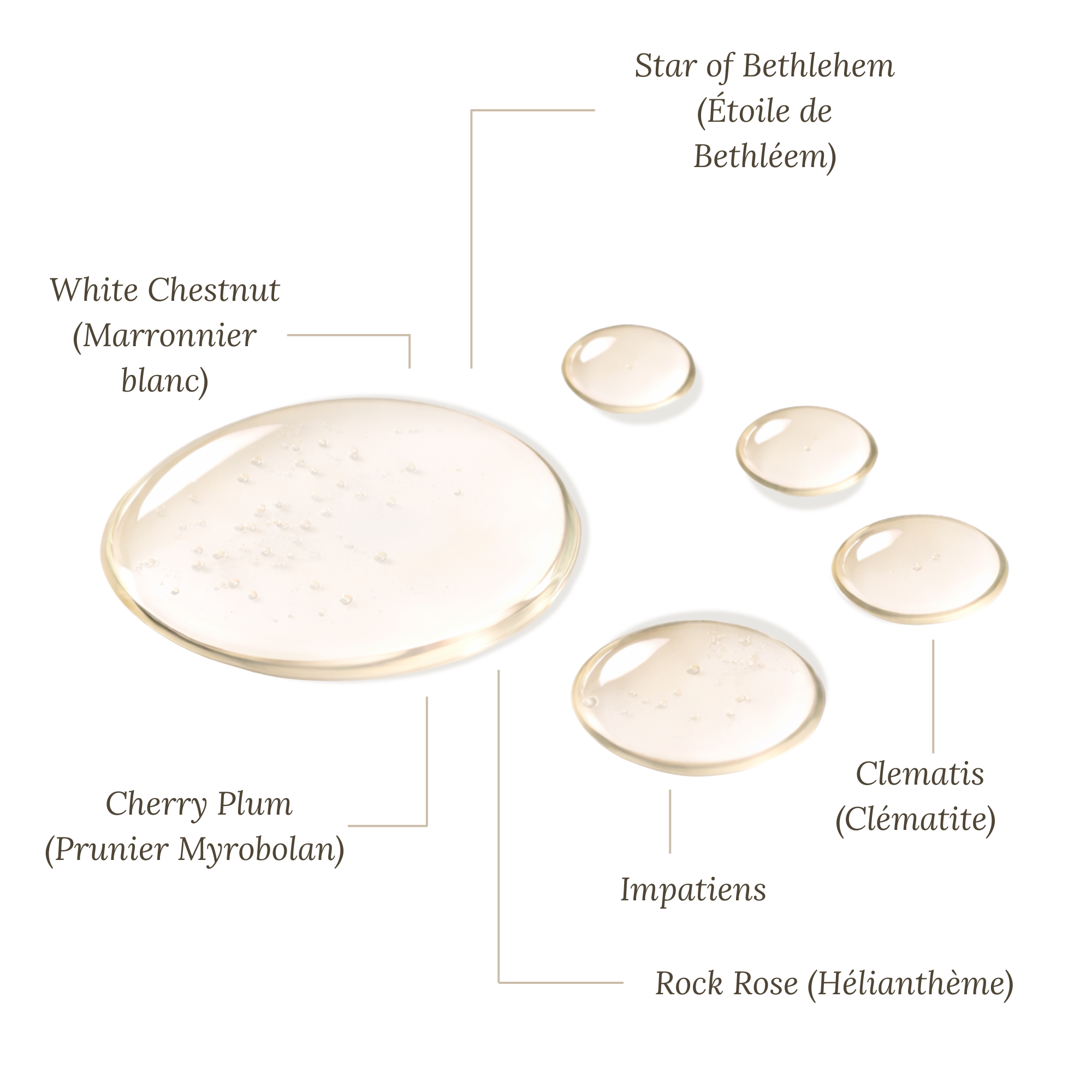 Fleurs de Bach Urgence Nuit - 30 ml Avec Alcool