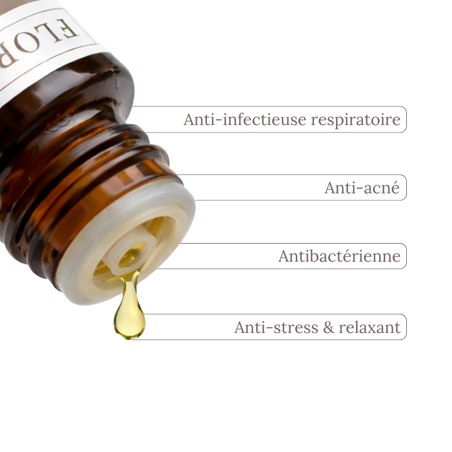 Aceite Esencial Ho Wood