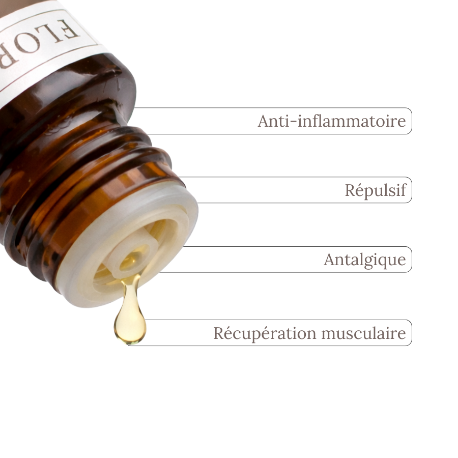 Aceite Esencial EUCALIPTO LIMÓN