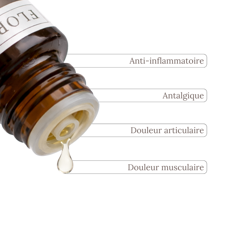 Huile Essentielle GAULTHÉRIE COUCHÉE