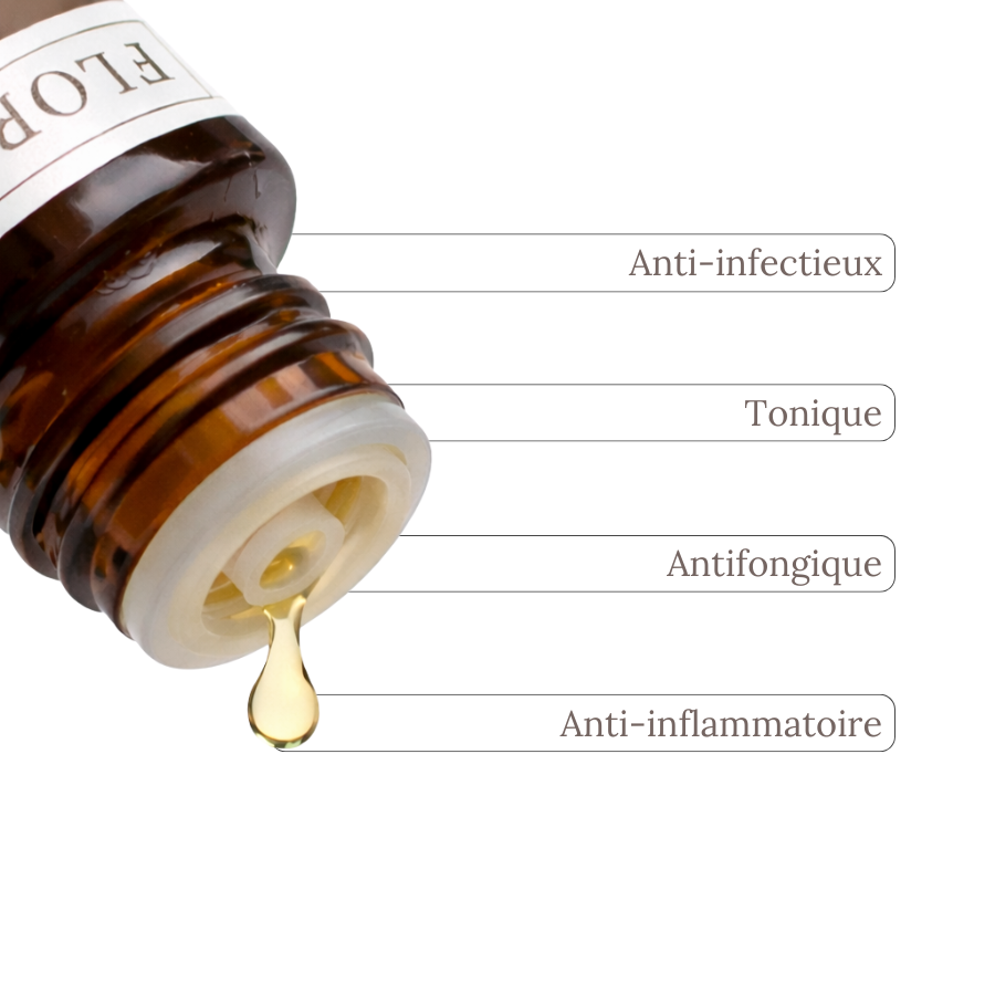 Huile Essentielle GÉRANIUM ROSAT