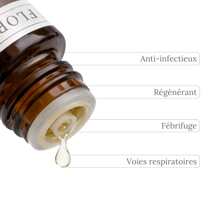 Huile Essentielle NIAOULI  10 ml