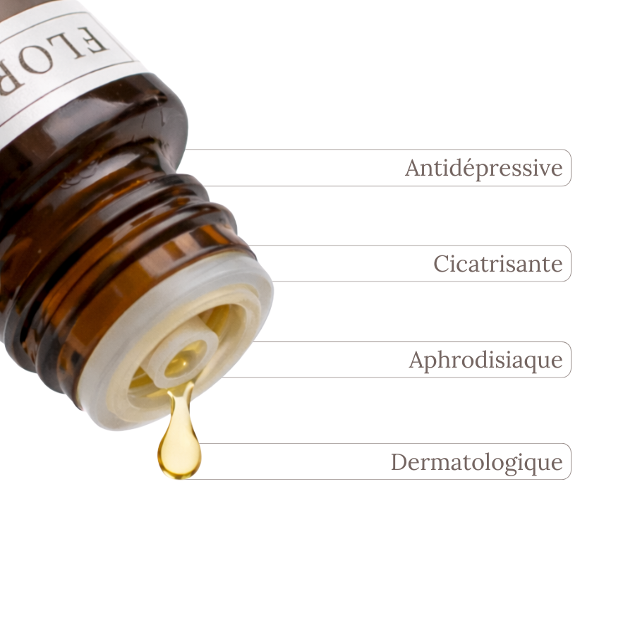 Huile Essentielle PATCHOULI