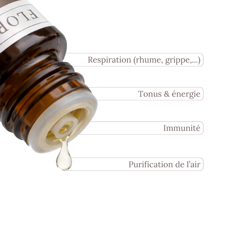 Huile Essentielle RAVINTSARA