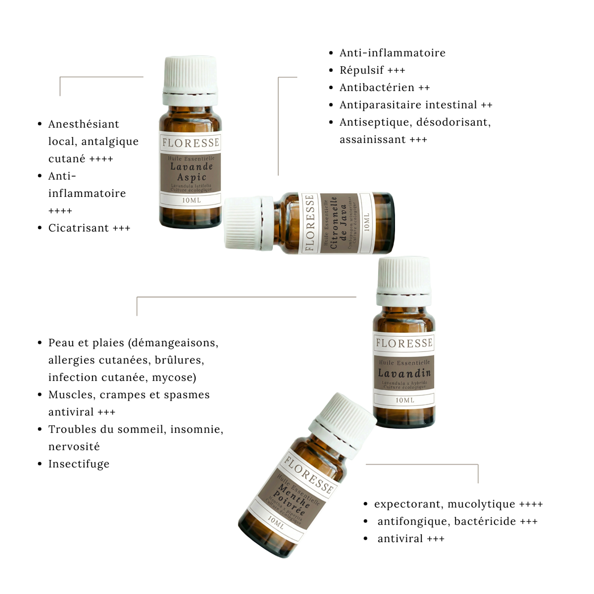 Kit especial de verano: 4 aceites esenciales