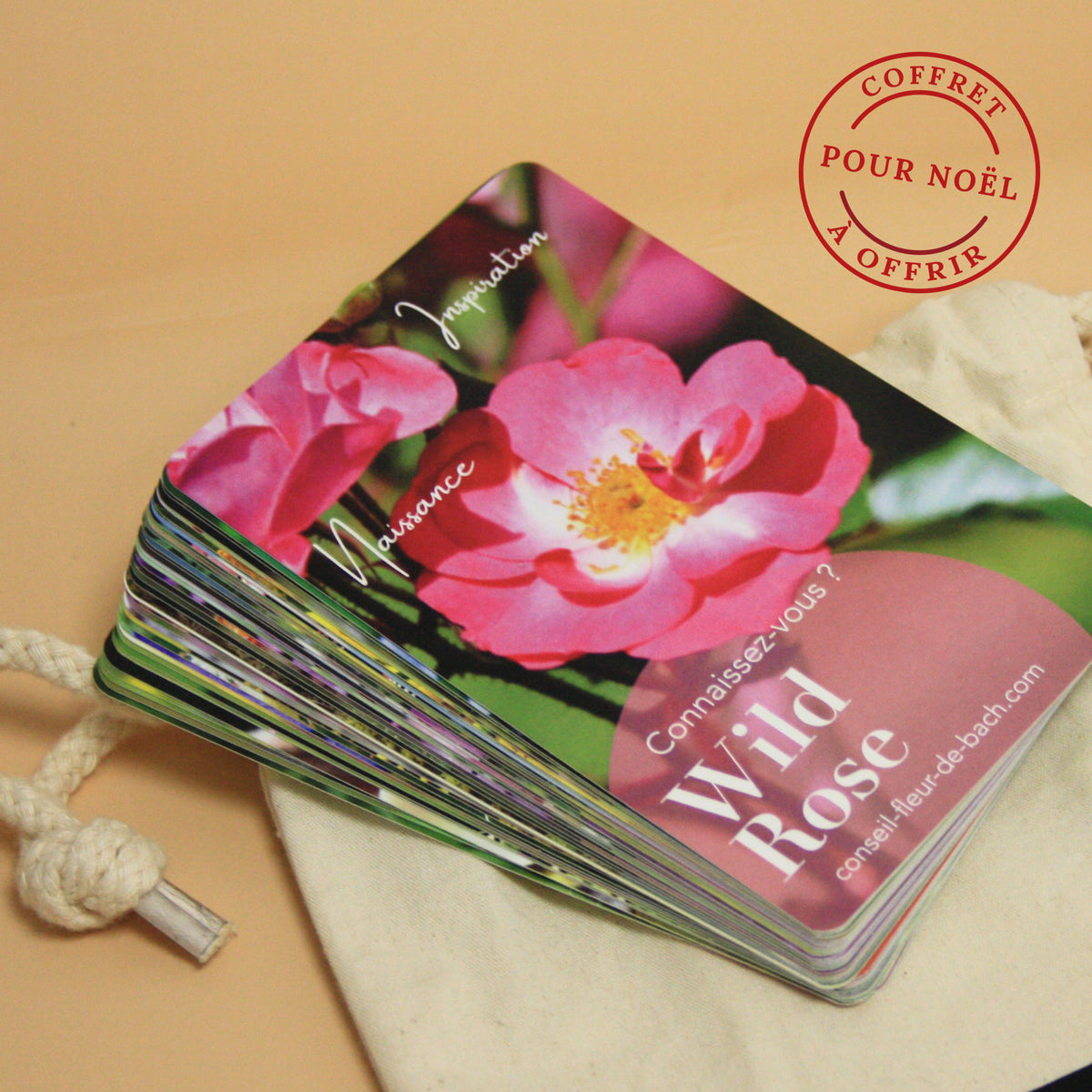 Cartes de guidance Fleurs de Bach présentées avec leurs pochettes.