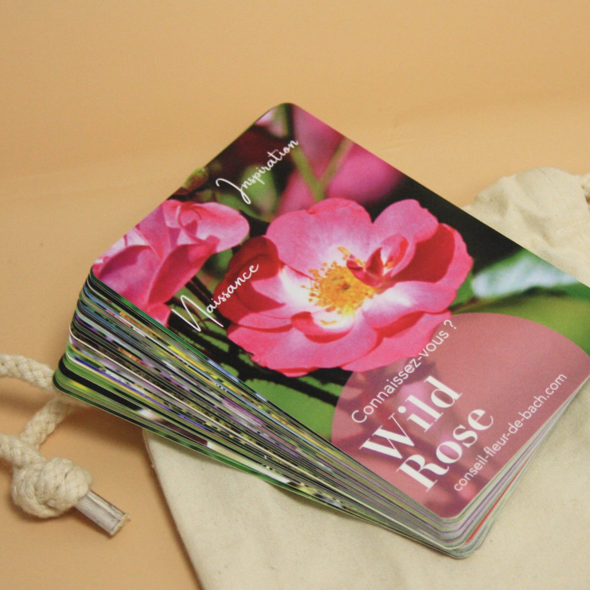 Cartes de guidance Fleurs de Bach présentées avec leurs pochettes.