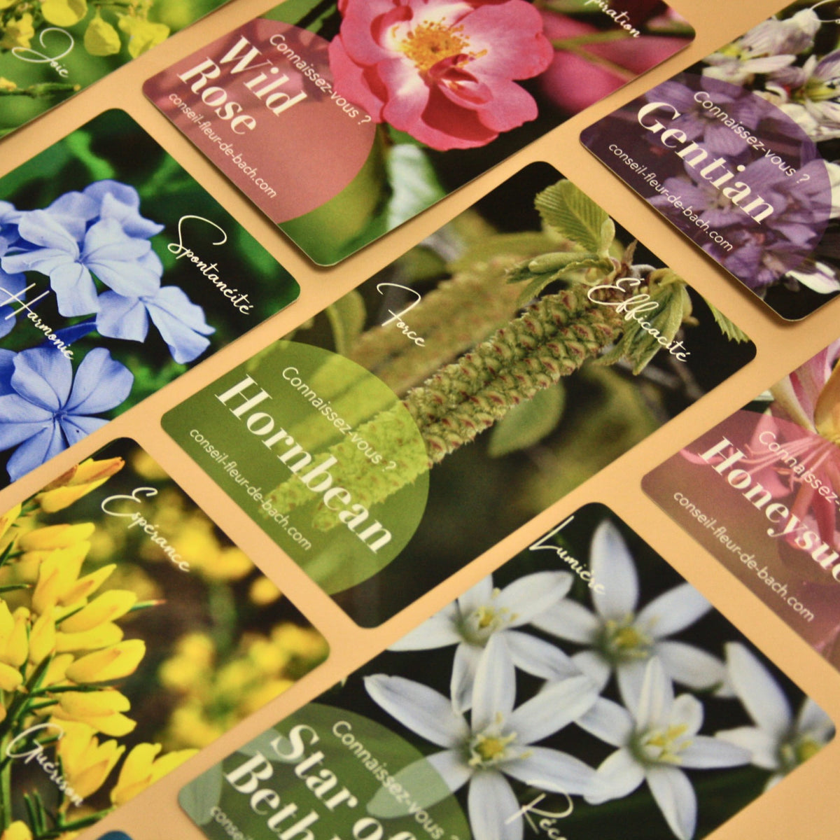 Jeu de cartes de guidance émotionnelle pour choisir ses Fleurs de Bach.