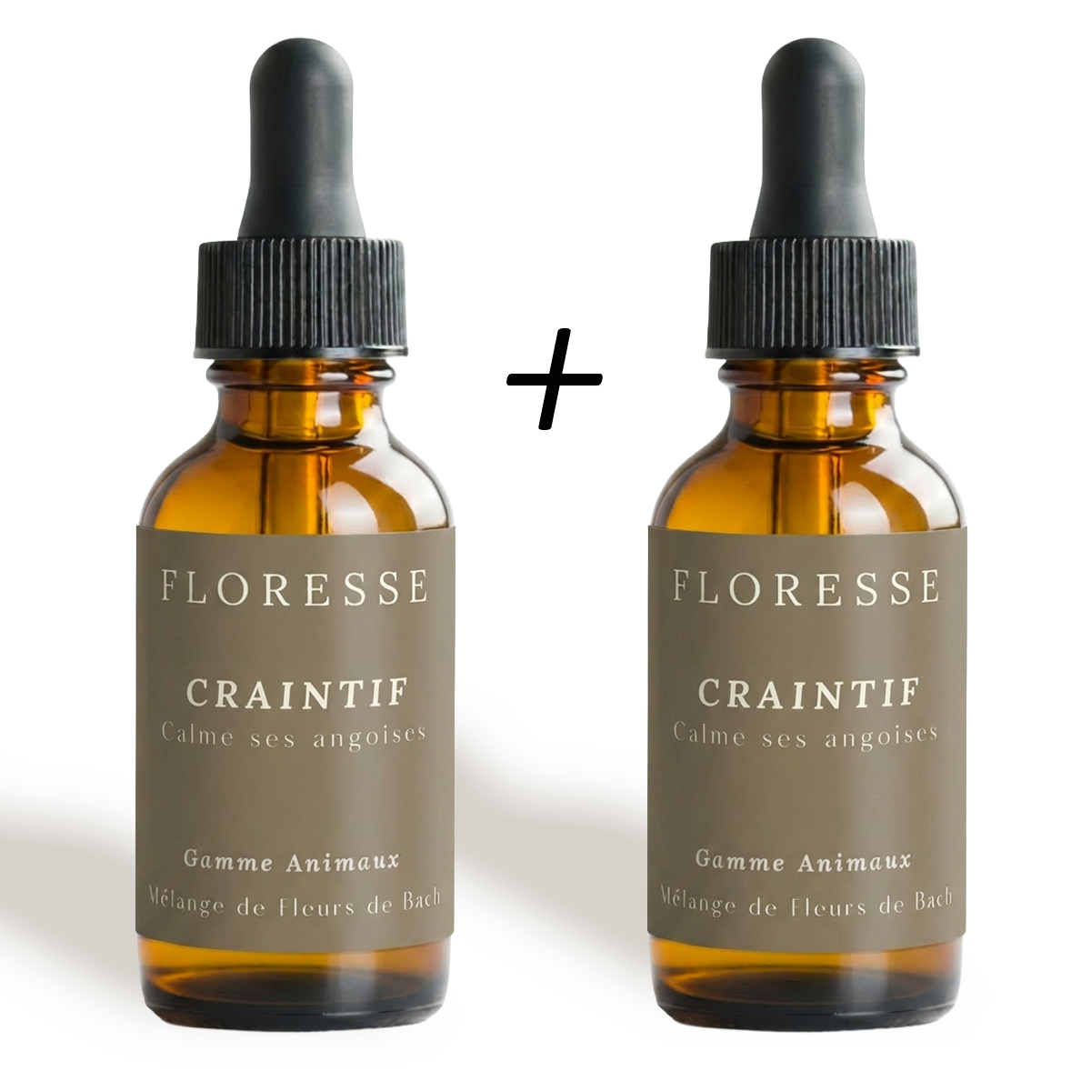 Remedios florales de Bach para animales tímidos