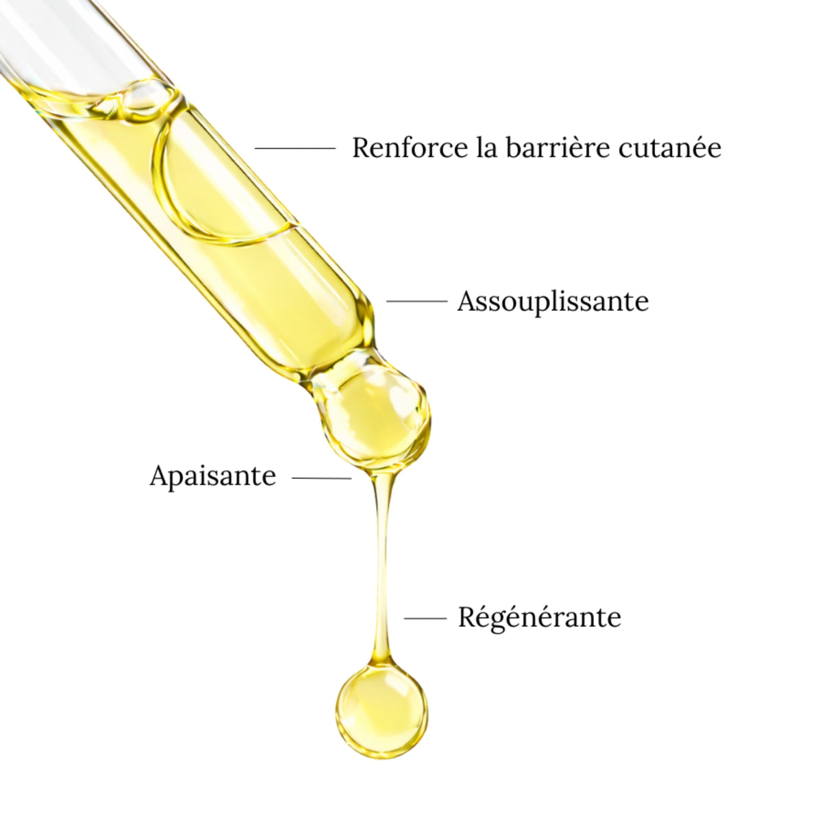 Aceite INCA INCHI - Sublime