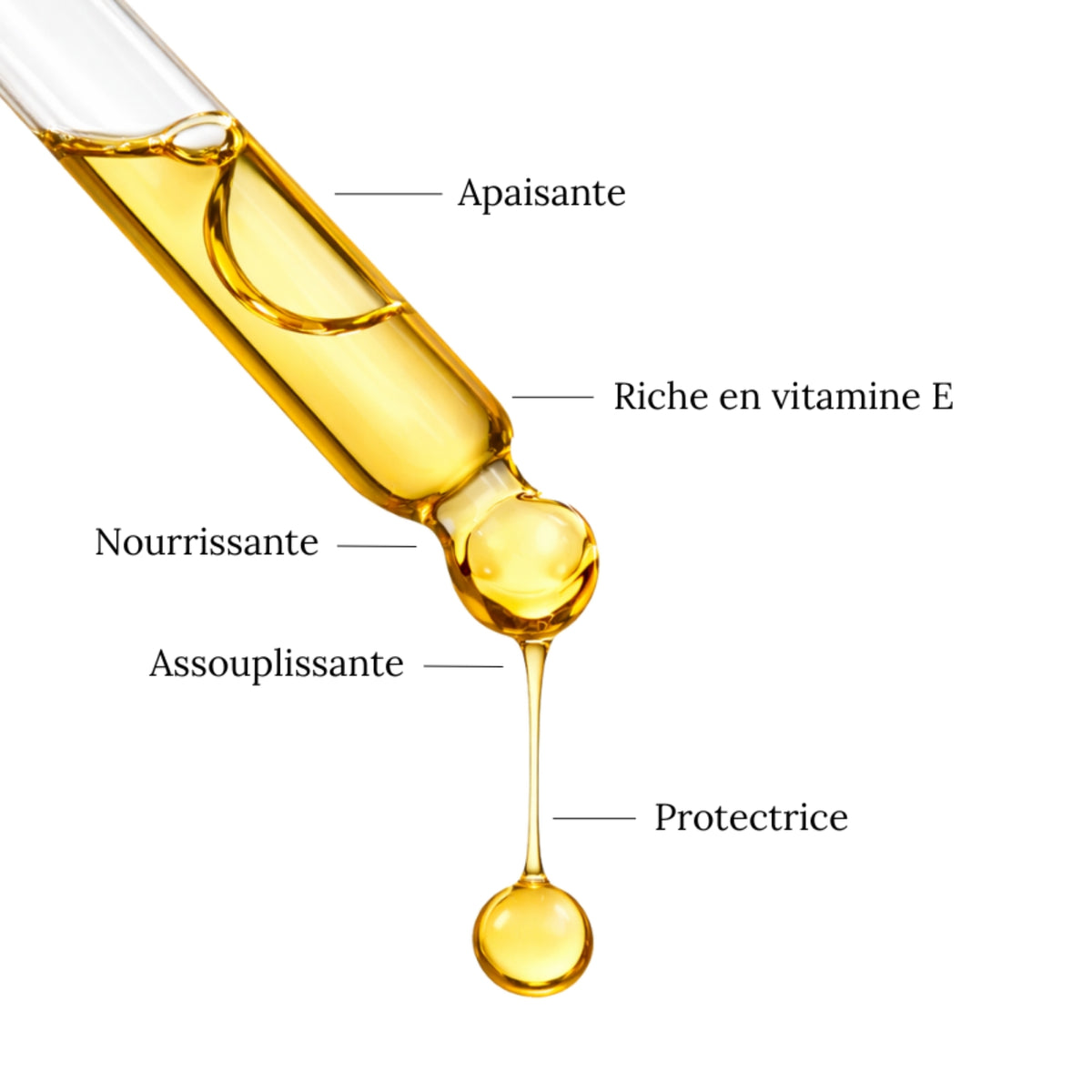 Aceite de ALMENDRAS DULCES - Suavizante