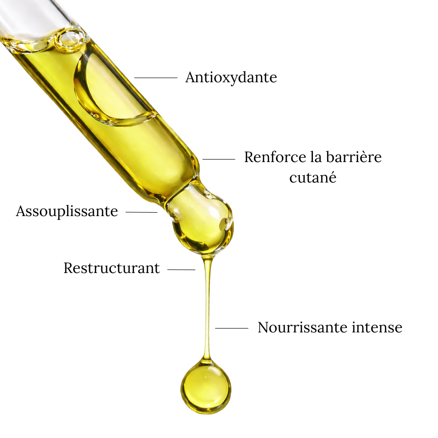 Huile d'AVOCAT - Nourrissante