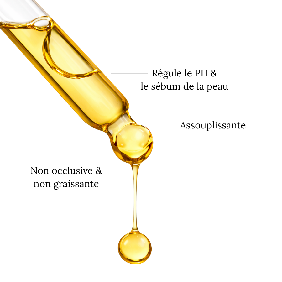 Huile de JOJOBA - Équilibrante
