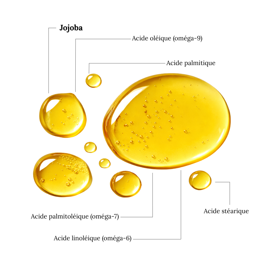 Huile de JOJOBA - Équilibrante