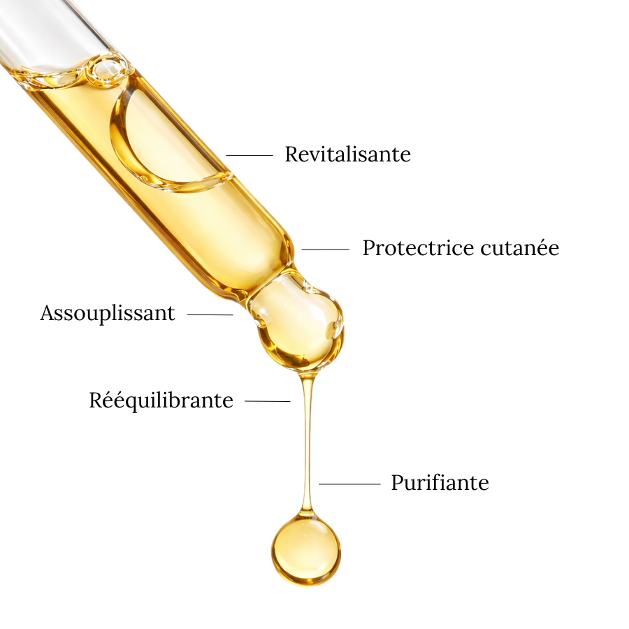 Huile de KARANJA BIO - Protectrice