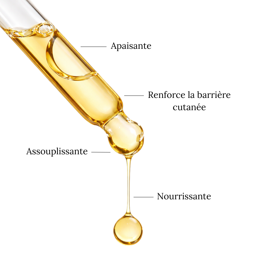 Huile de MACADAMIA - Nourrissante