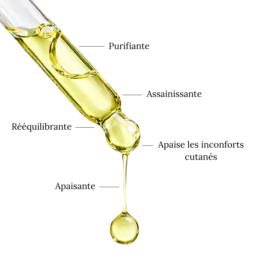 Aceite de Neem - Purificante