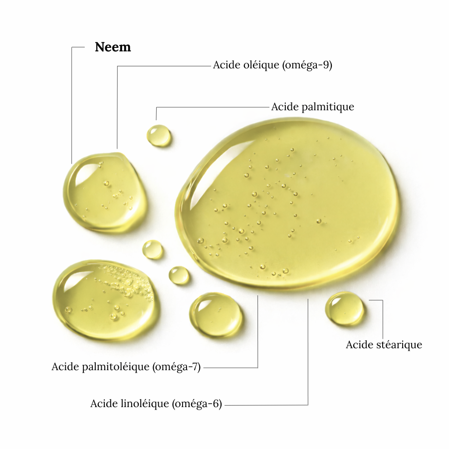 Aceite de Neem - Purificante