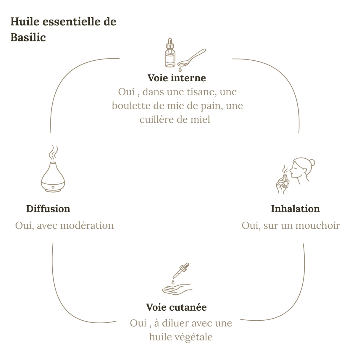 Huile Essentielle BASILIC
