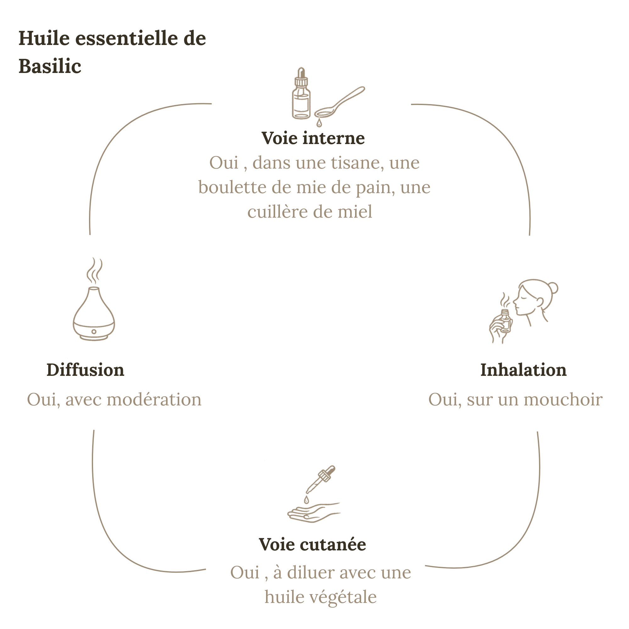 Huile Essentielle BASILIC