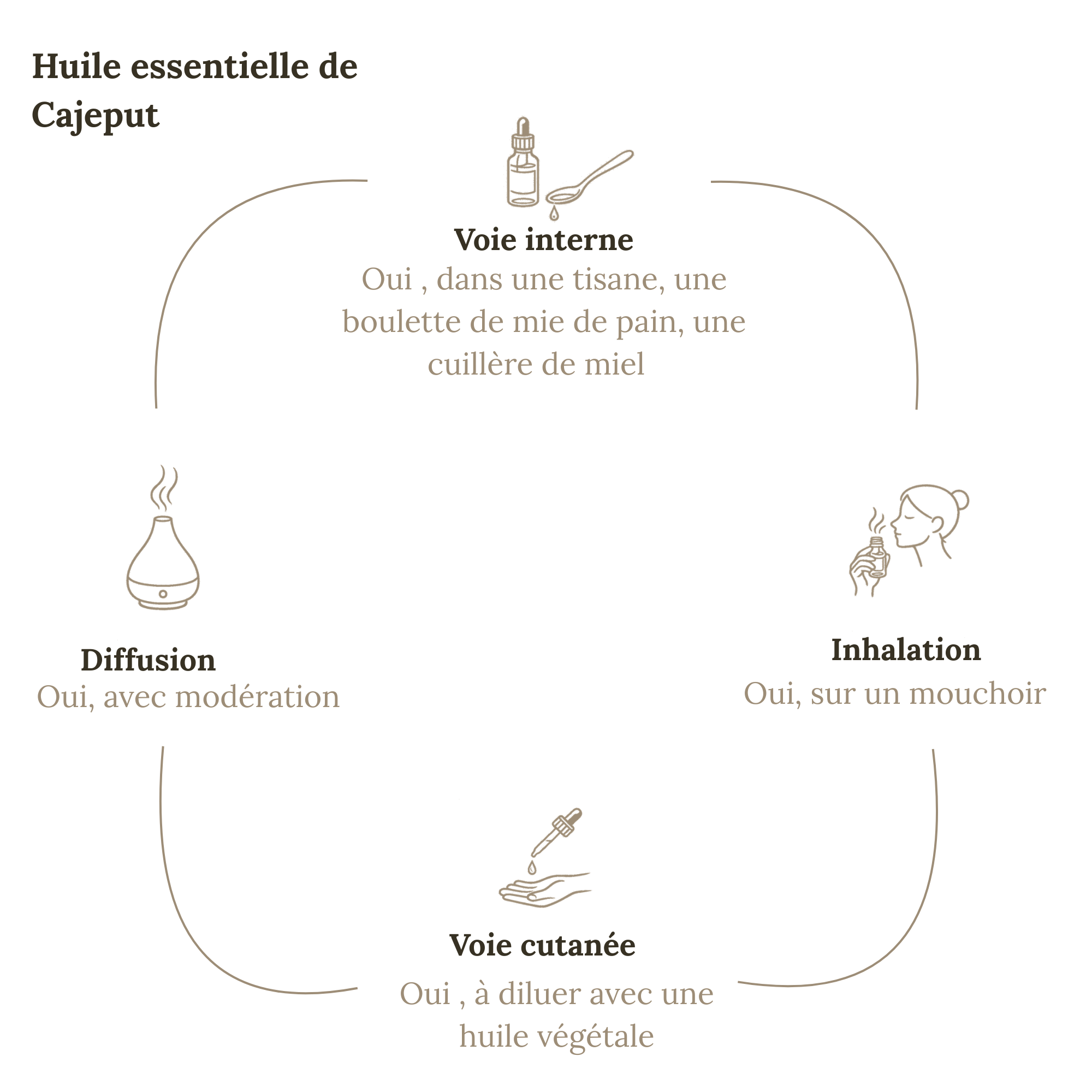 Aceite esencial de CAJEPUT 10ML