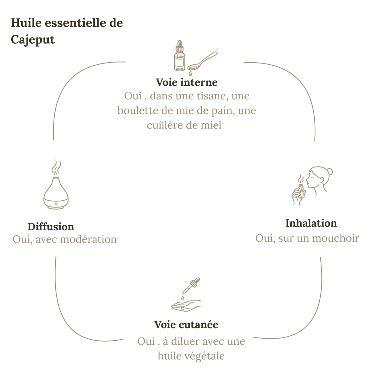 Huile essentielle CAJEPUT 10ML