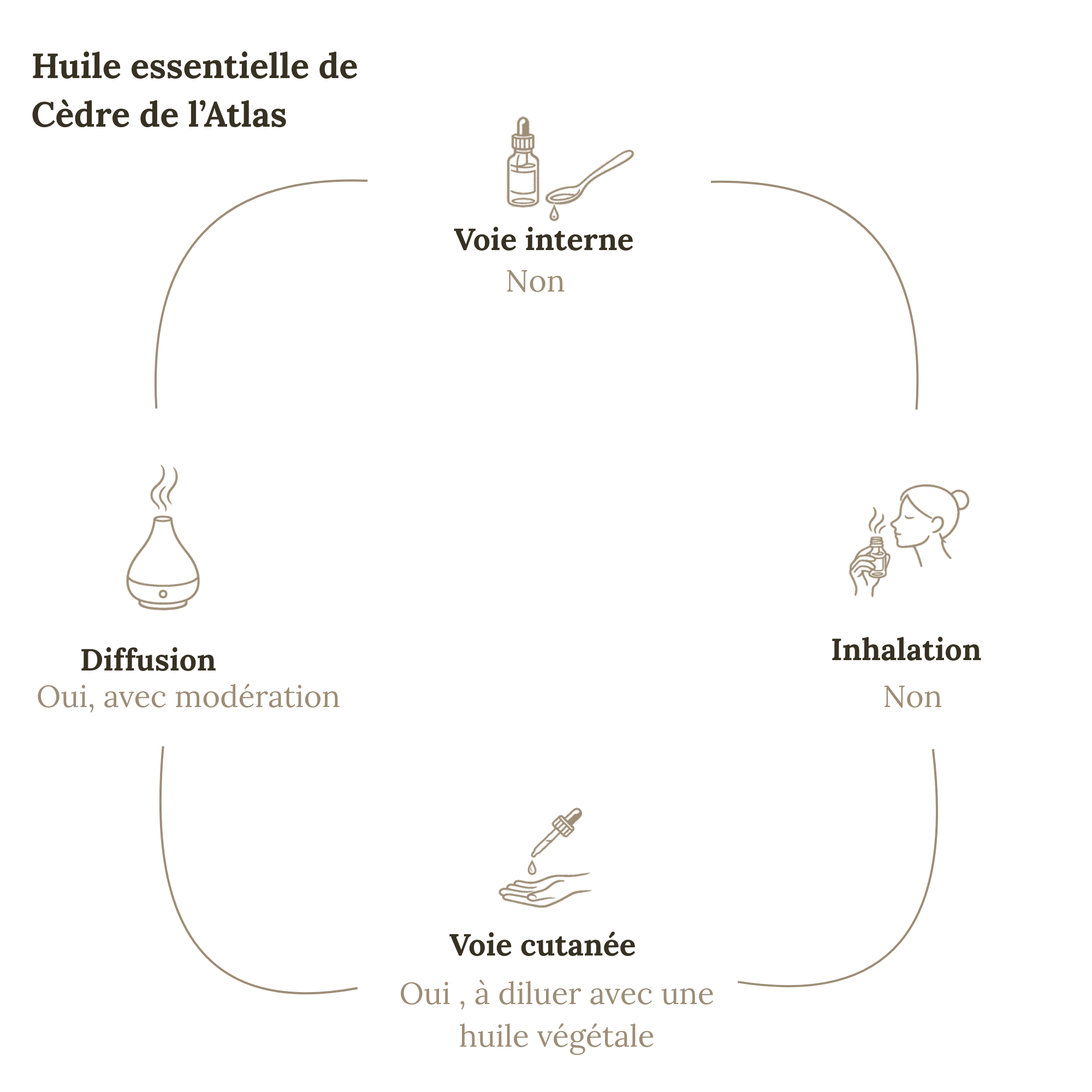 Huile Essentielle CÈDRE 10 ml