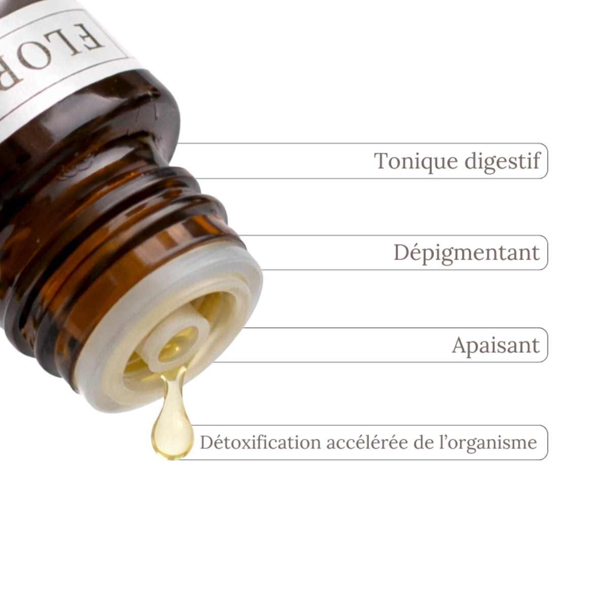 Aceite Esencial APIO