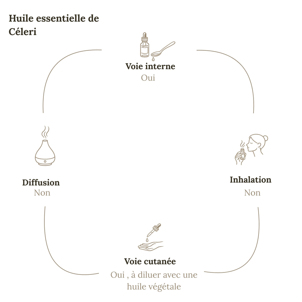 Aceite Esencial APIO